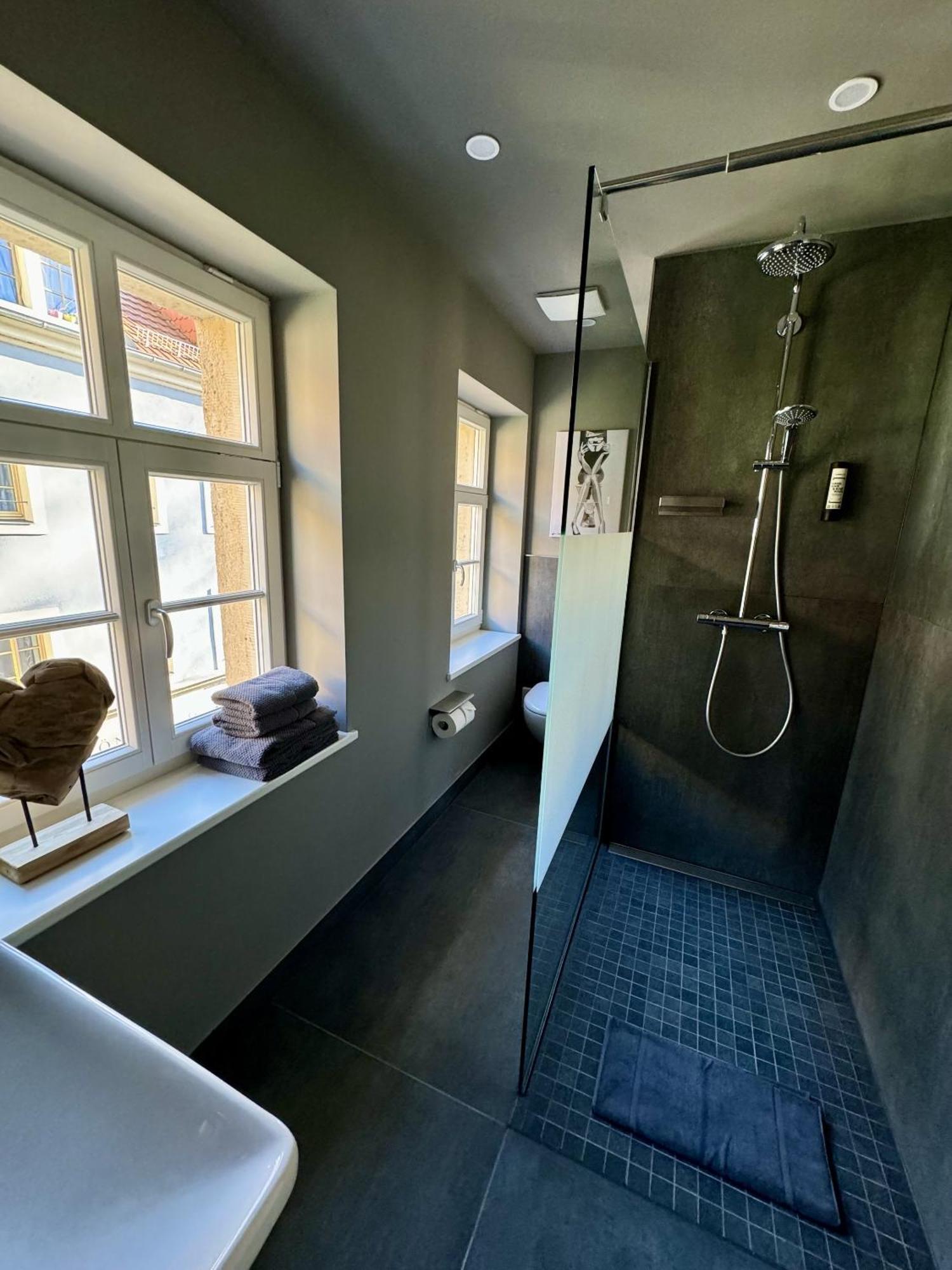 Apartmenthaus Burkhardt Meißen المظهر الخارجي الصورة